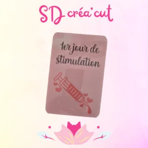 Cartes Étapes Parcours PMA en Couple