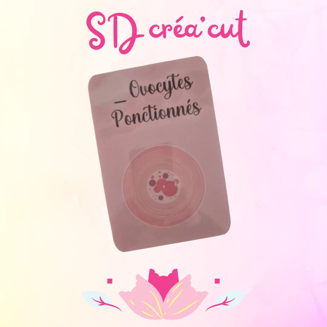 Cartes Étapes PMA  Solo ou en Couple Homo