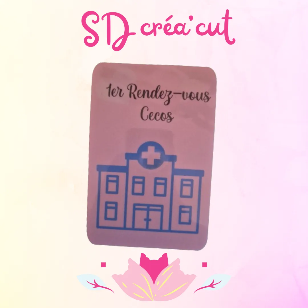 Cartes Étapes PMA  Solo ou en Couple Homo