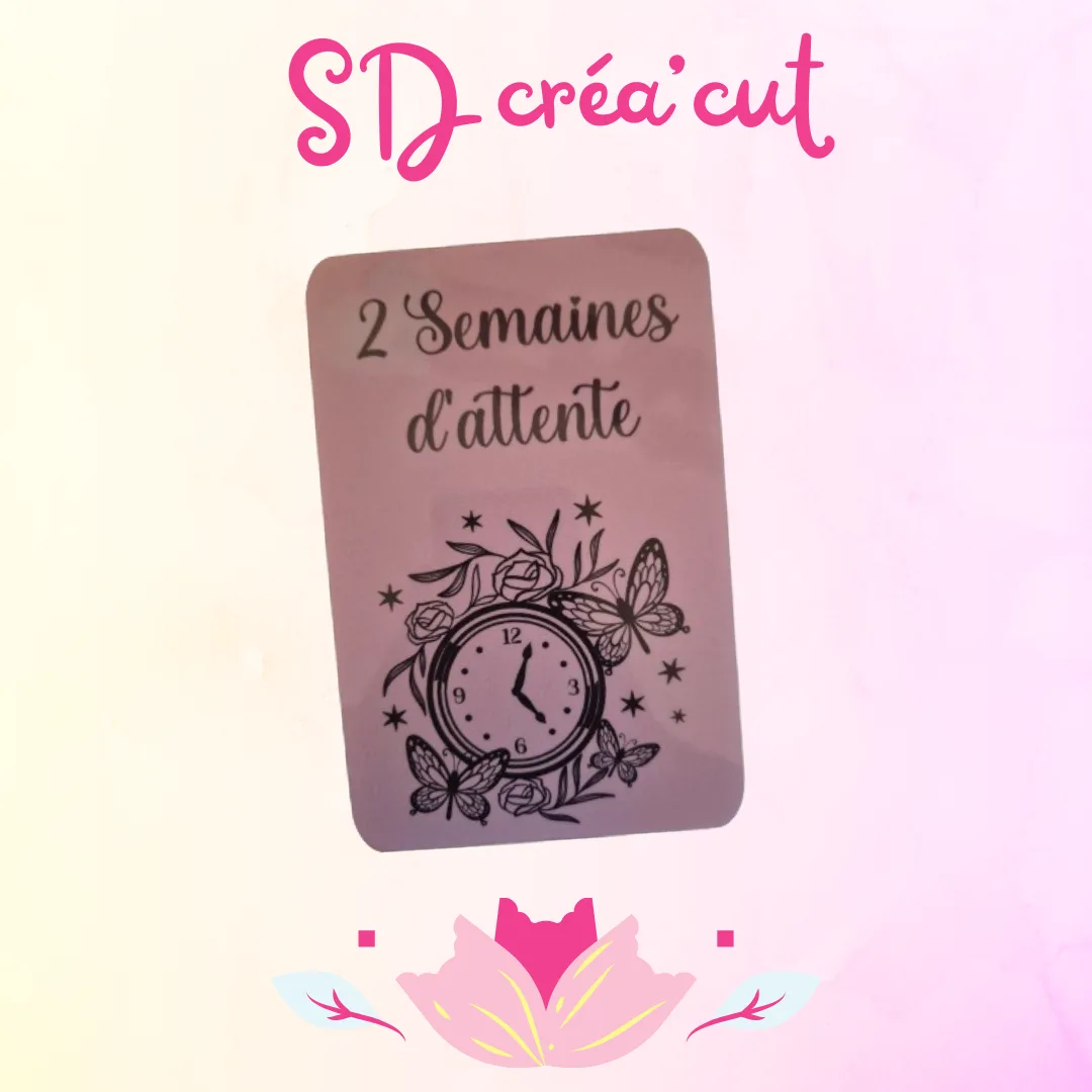 Cartes Étapes PMA  Solo ou en Couple Homo